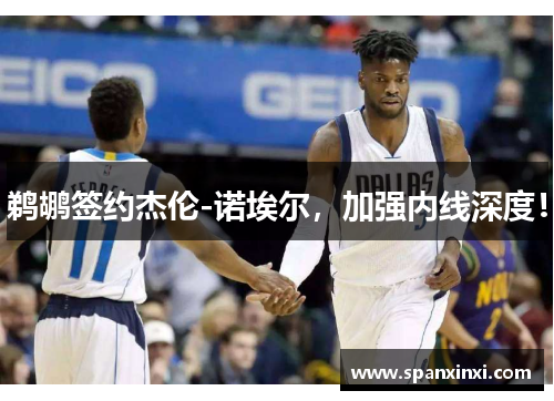 鹈鹕签约杰伦-诺埃尔，加强内线深度！
